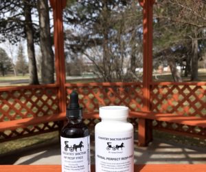 Congestion & Inflammation getting to you?