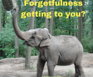 Forgetfulness getting to you?